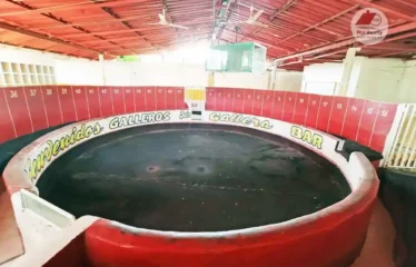 Local comercial en San Felix